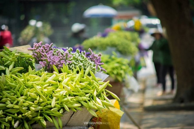 Gánh loa kèn và nỗi nhớ tháng 4 ảnh 5