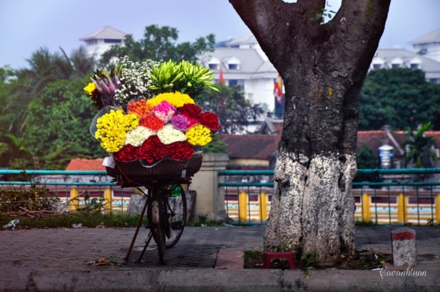 Gánh loa kèn và nỗi nhớ tháng 4 ảnh 9