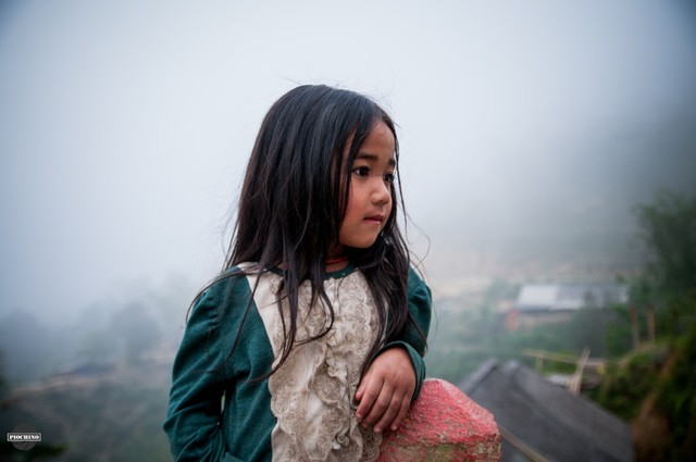 Cung đường Hoàng Su Phì - Tây Côn Lĩnh: Hiểm trở mà đẹp hút hồn ảnh 6