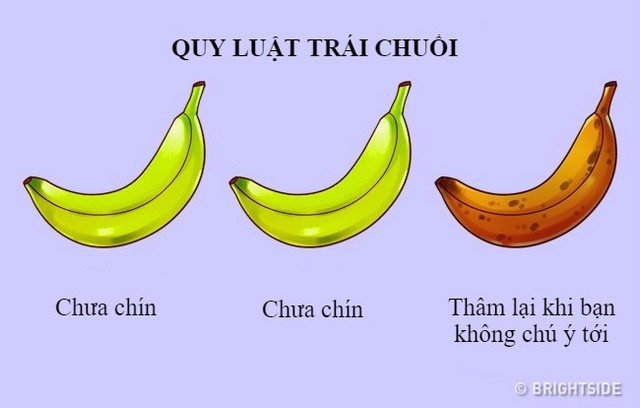 12 sự thật mỉa mai về cuộc sống xung quanh chúng ta ảnh 4 12 sự thật mỉa mai về cuộc sống xung quanh chúng ta ảnh 4