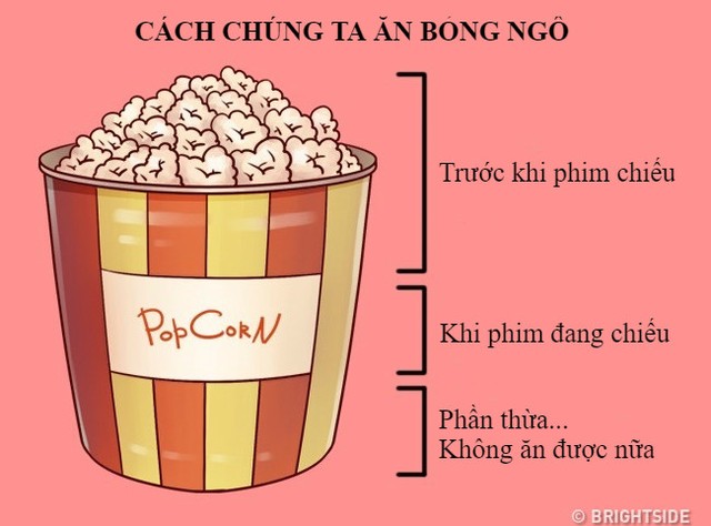 12 sự thật mỉa mai về cuộc sống xung quanh chúng ta ảnh 7 12 sự thật mỉa mai về cuộc sống xung quanh chúng ta ảnh 7