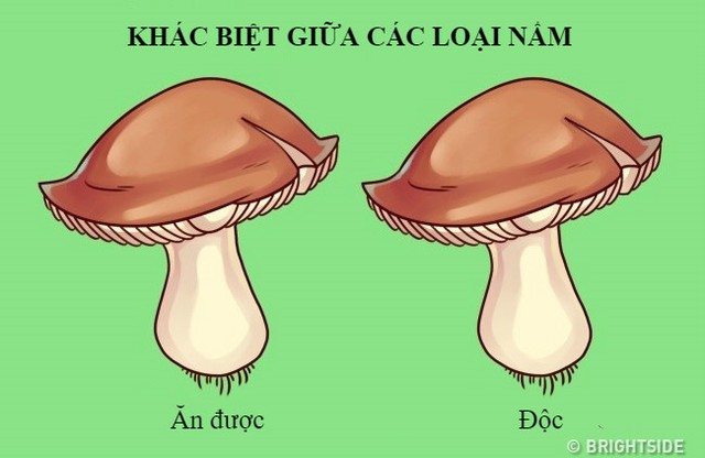 12 sự thật mỉa mai về cuộc sống xung quanh chúng ta ảnh 9 12 sự thật mỉa mai về cuộc sống xung quanh chúng ta ảnh 9