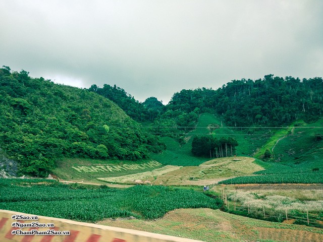 Rủ nhau lên Mộc Châu hái mận chín ảnh 10