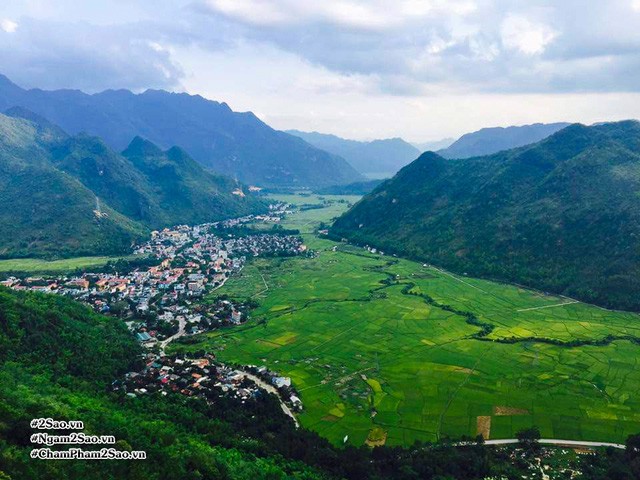 Rủ nhau lên Mộc Châu hái mận chín ảnh 2