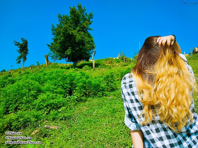 Rủ nhau lên Mộc Châu hái mận chín ảnh 3