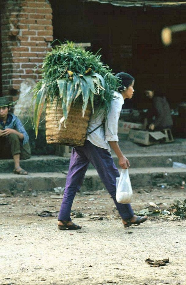 Lặng ngắm Sapa hoang sơ trong những năm 90 ảnh 7