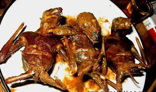 6 món ăn kinh dị miền Tây nhưng “hái” ra tiền ảnh 5