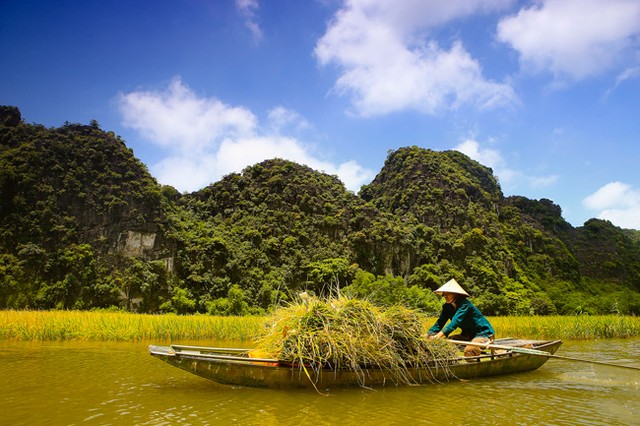 Lịch trình trốn nóng cuối tuần với Tam Cốc mùa lúa chín trong 24 giờ ảnh 2