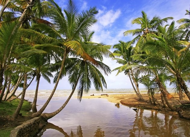 Hội An lọt top những thành phố biển đẹp và rẻ nhất thế giới để sinh sống ảnh 7