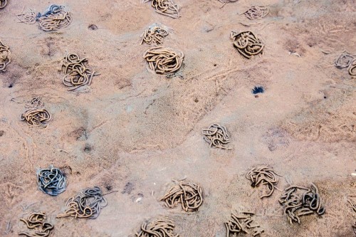 Vùng biển biến mất hai lần một ngày ảnh 1