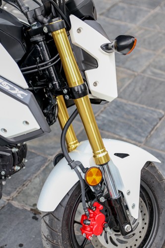 Honda MSX125 - xế 'cưng' cho giới trẻ Việt ảnh 5