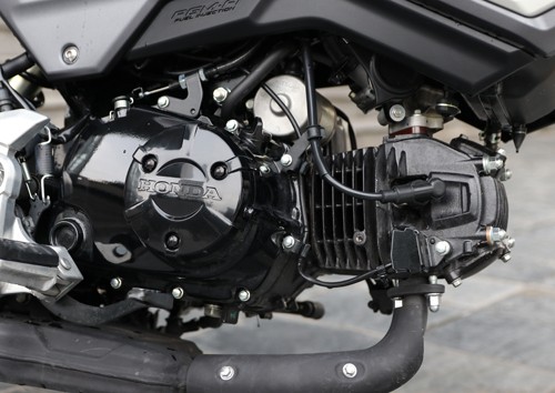 Honda MSX125 - xế 'cưng' cho giới trẻ Việt ảnh 8