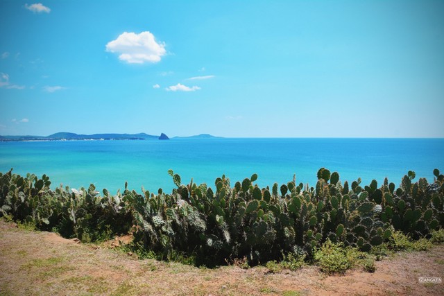 Giấc mơ tuổi thơ ở Gành Ông - Bãi Xép ảnh 12