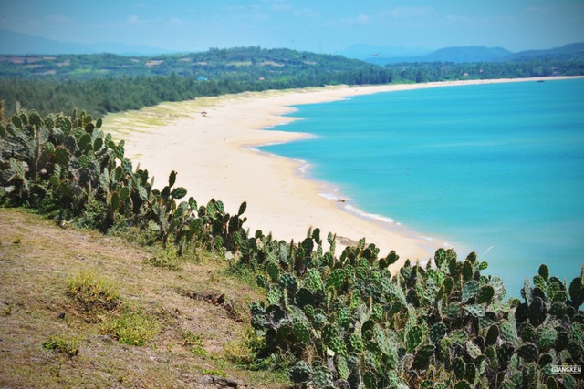 Giấc mơ tuổi thơ ở Gành Ông - Bãi Xép ảnh 6