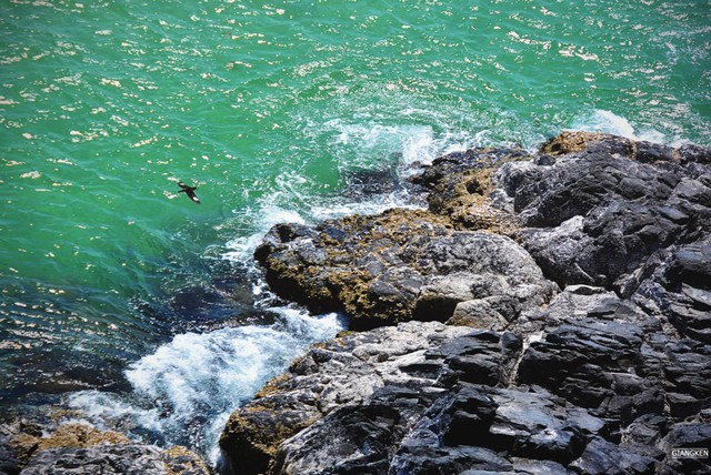 Giấc mơ tuổi thơ ở Gành Ông - Bãi Xép ảnh 7