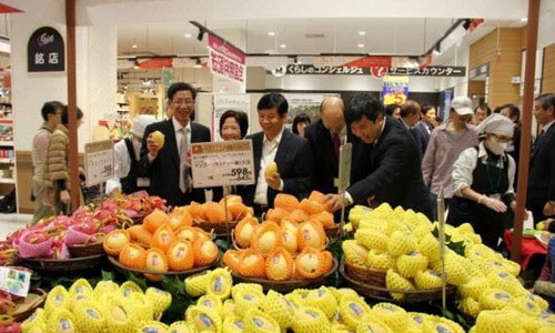 Những nông sản Việt 'đắt như vàng' khi xuất sang Nhật ảnh 1