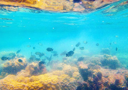 Đảo Gầm Ghì - từ vô danh thành từ khóa hot với các phượt thủ ảnh 6