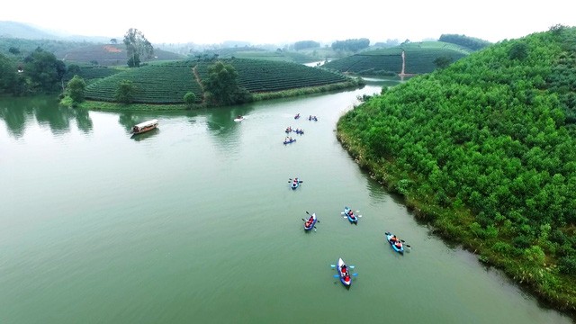 Đi trốn nóng ở ốc đảo chè đẹp mê hồn xứ Nghệ ảnh 2
