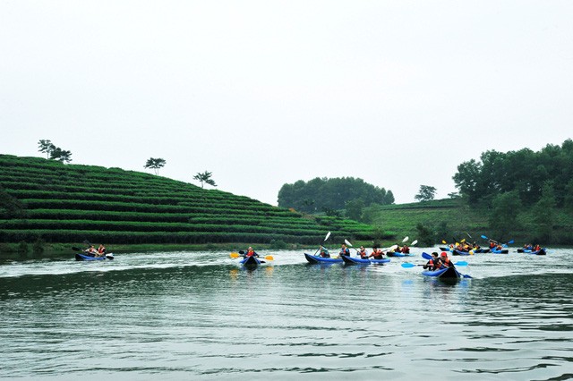 Đi trốn nóng ở ốc đảo chè đẹp mê hồn xứ Nghệ ảnh 8