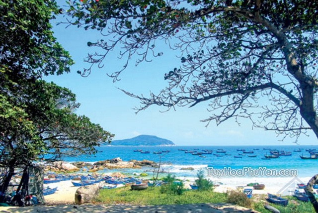 Những “thiên đường” cù lao có thật tại Việt Nam ảnh 3