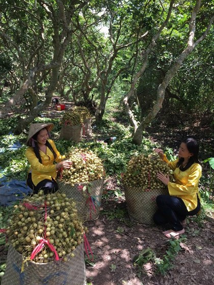 Ba ngày hai đêm vui thú miệt vườn miền Tây dịp 2/9 ảnh 1