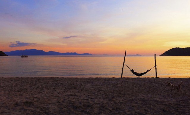 Về Bãi Che khi còn may mắn ảnh 2