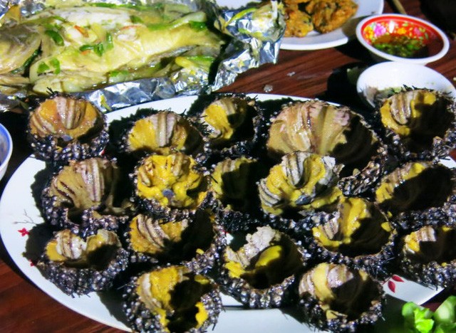 Về Bãi Che khi còn may mắn ảnh 4