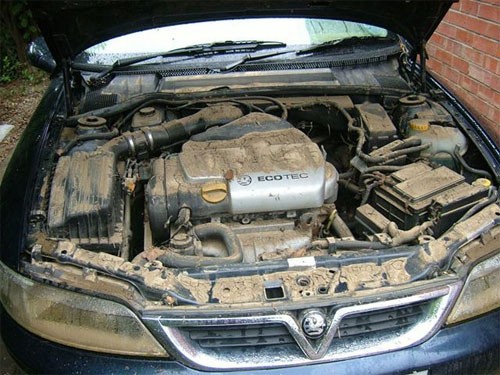 Nửa triệu ôtô ngập ở Mỹ có thể bị quẳng vào bãi phế liệu ảnh 1