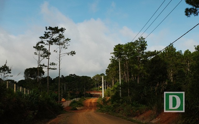 Kỳ thú hành trình “phượt” Măng Đen ảnh 3