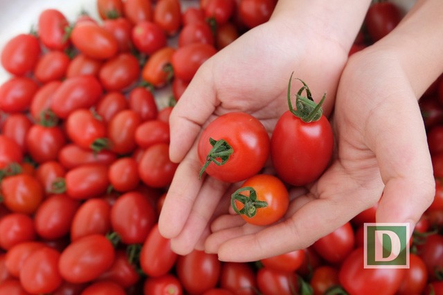 Kỳ thú hành trình “phượt” Măng Đen ảnh 8