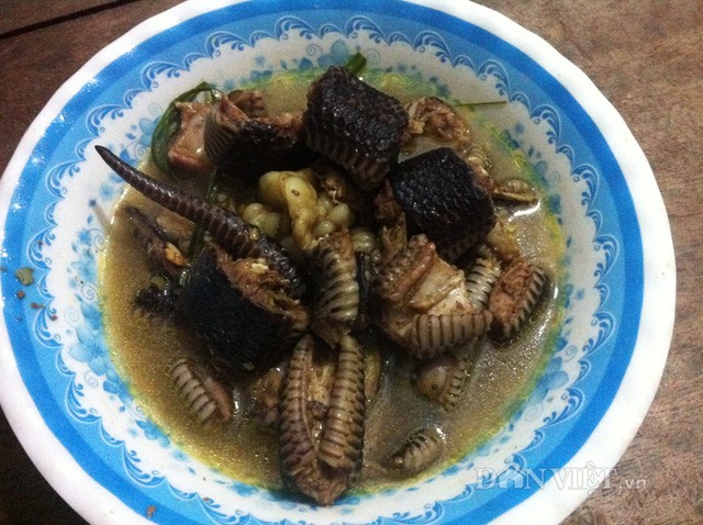 Ba món “tuyệt chiêu” từ rắn hổ hành miền Tây ảnh 3
