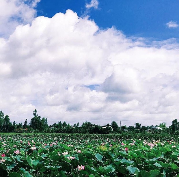 Những điểm đến lý tưởng ngắm miền Tây mùa nước nổi ảnh 3