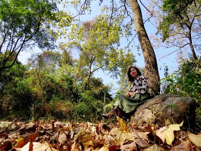 5 điểm ngắm lá phong đỏ ngay ở Việt Nam ảnh 2