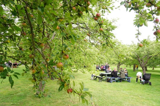 Tôi đã bị Stockholm “đốn ngã” như thế nào? ảnh 1