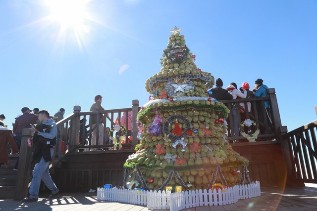 Du khách đổ xô tới “sống ảo” tại Lễ hội mùa Đông ở Fansipan Legend ảnh 2