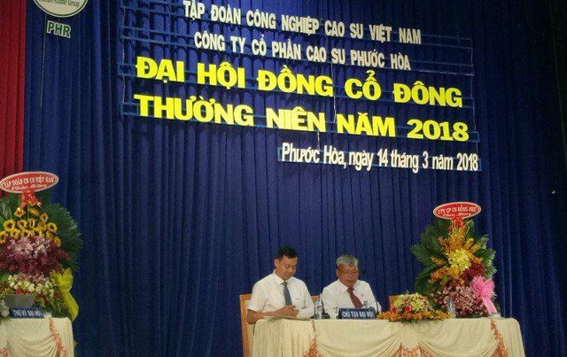 Cao su Phước Hòa (PHR) đặt kế hoạch lãi 400 tỷ đồng, phát hành 54,2 triệu cổ phiếu thưởng ảnh 1