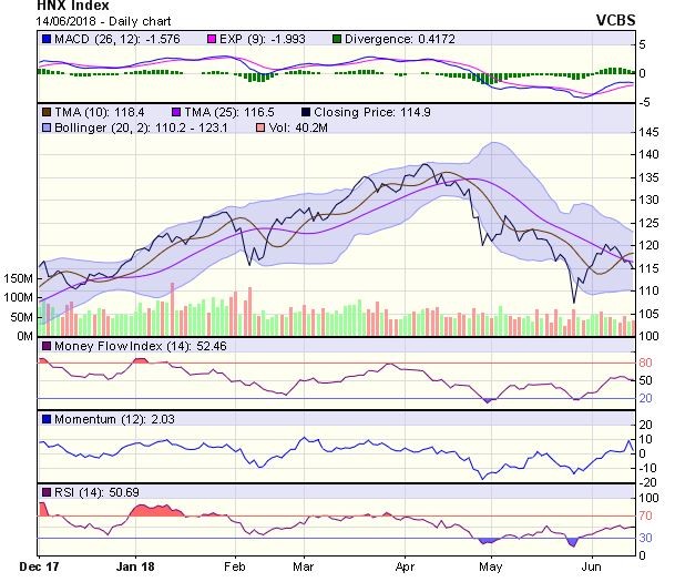 Góc nhìn kỹ thuật phiên 15/6: VN-Index có thể tiếp tục giảm về vùng hỗ trợ 1.005 điểm ảnh 1