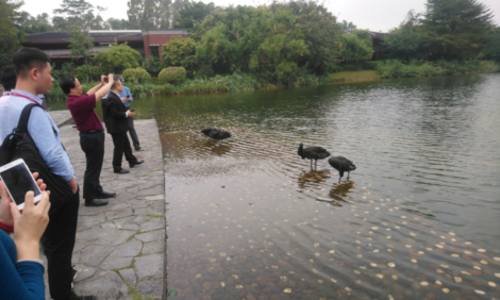 'Bầy sói' kỷ luật và chăm chỉ của ông chủ Huawei ảnh 1