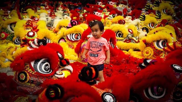 108 con lân lập kỷ lục Việt Nam ảnh 3