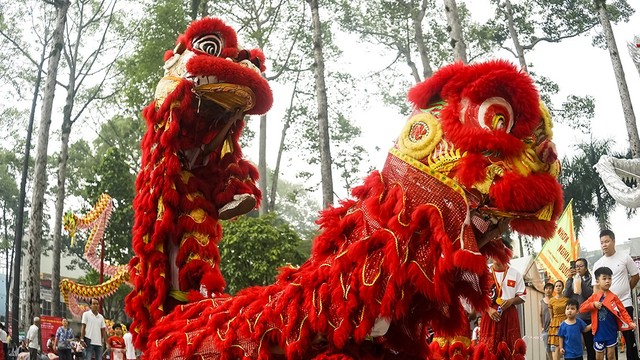 108 con lân lập kỷ lục Việt Nam ảnh 4