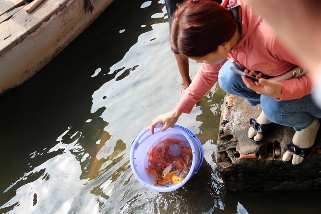 TP.HCM: Người dân tấp nập thả cá chép tiễn ông Công, ông Táo về trời ảnh 1 TP.HCM: Người dân tấp nập thả cá chép tiễn ông Công, ông Táo về trời ảnh 1