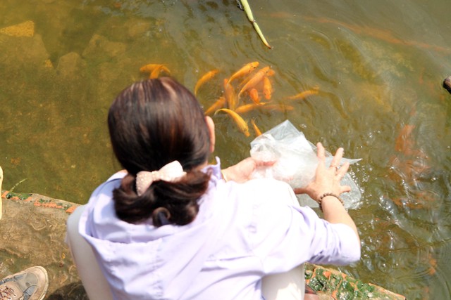 TP.HCM: Người dân tấp nập thả cá chép tiễn ông Công, ông Táo về trời ảnh 4 TP.HCM: Người dân tấp nập thả cá chép tiễn ông Công, ông Táo về trời ảnh 4