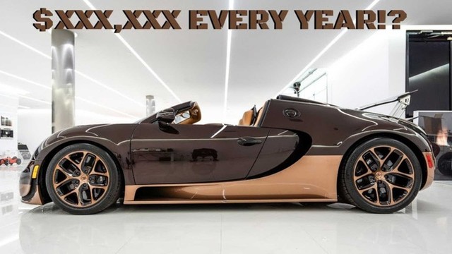 Vận hành Bugatti Veyron trong 2 năm, chủ xe tốn 100.000 USD ảnh 3
