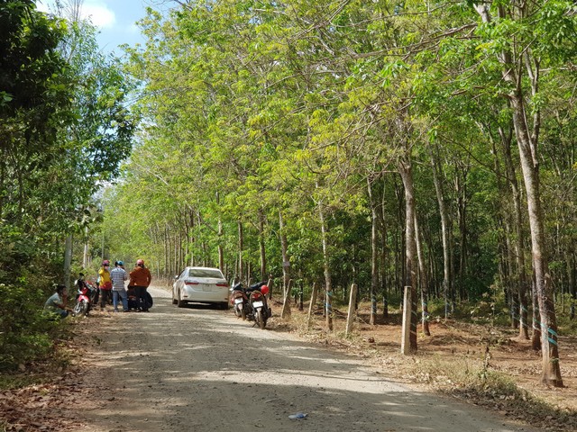 Giá đất tăng bất thường ở huyện Châu Đức, tỉnh Bà Rịa - Vũng Tàu ảnh 4