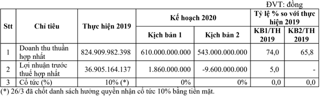 Bóng đèn Điện Quang (DQC) trình 2 kịch bản kinh doanh 2020, có phương án thua lỗ ảnh 1