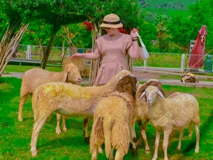 Thảo nguyên cỏ xanh phù hợp cho những buổi picnic. Thảo nguyên cỏ xanh phù hợp cho những buổi picnic.