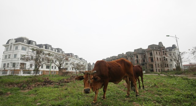 Định giá đất luôn là vấn đề nan giải.