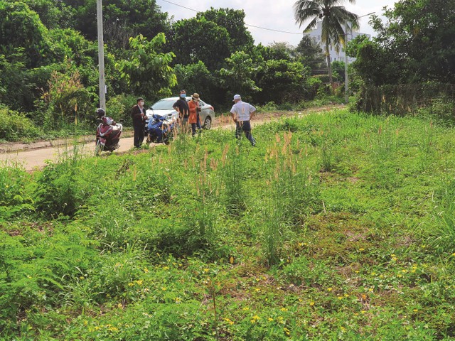 Một số nhóm nhà đầu tư bắt đầu đi săn đất. Một số nhóm nhà đầu tư bắt đầu đi săn đất.