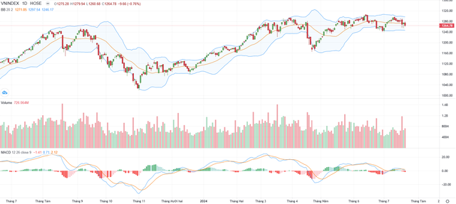 Biểu đồ kỹ thuật VN-Index.