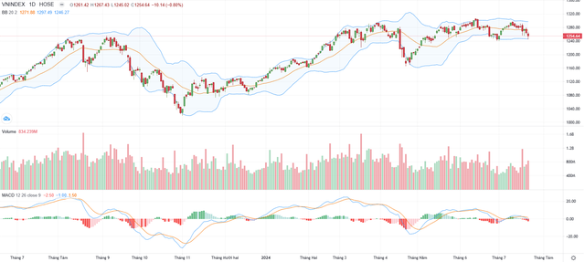 Biểu đồ kỹ thuật VN-Index.